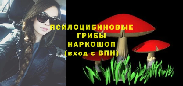 не бодяженный Аркадак